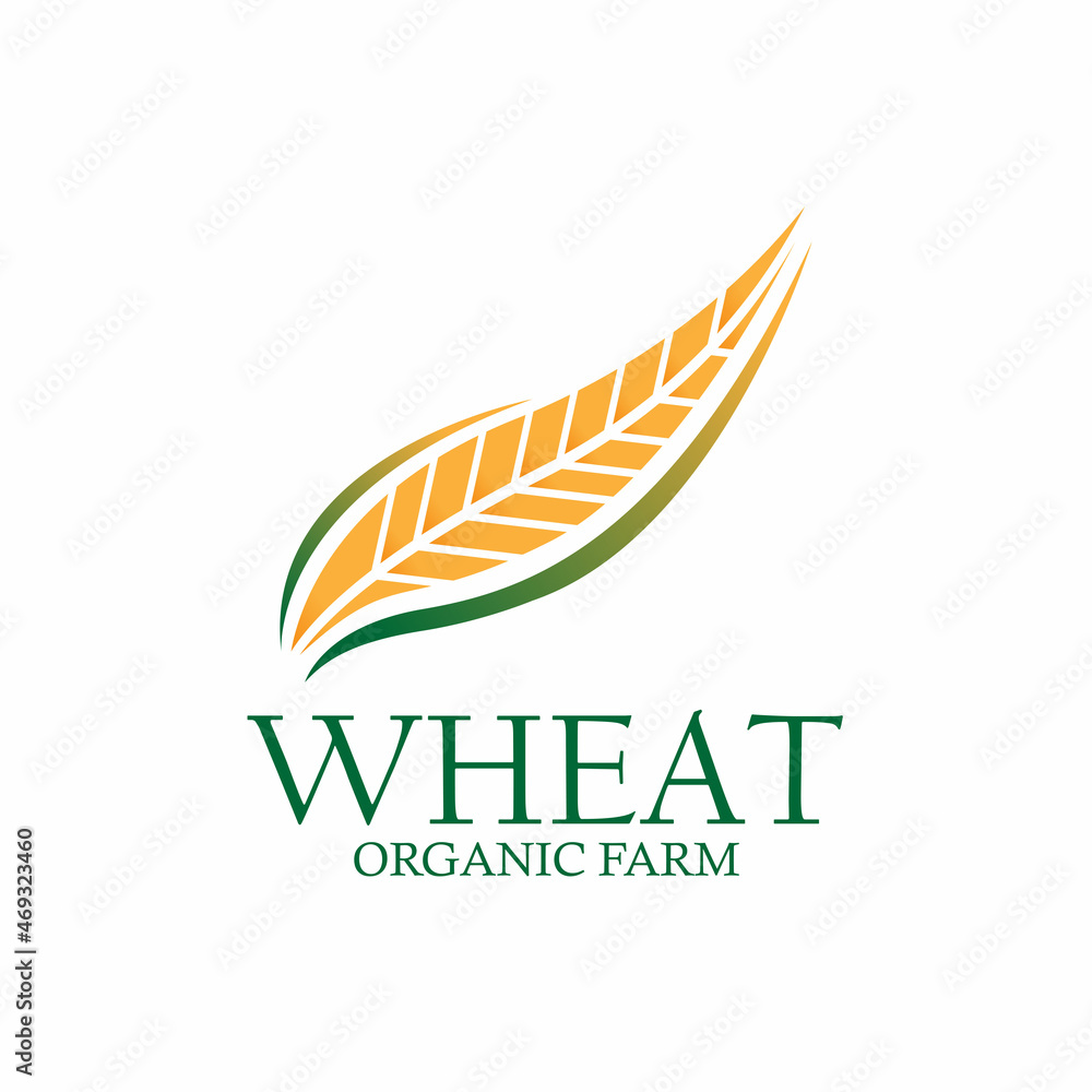 wheat illustration design vector. wheat organic logo vector