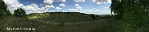 panorama of a forest