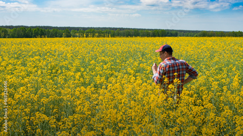 Middle aged caucasian male farm worker inspecting canola stalks at field sunny summer day