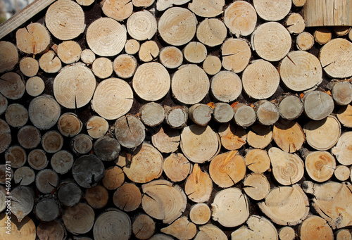 a stack of firewood background