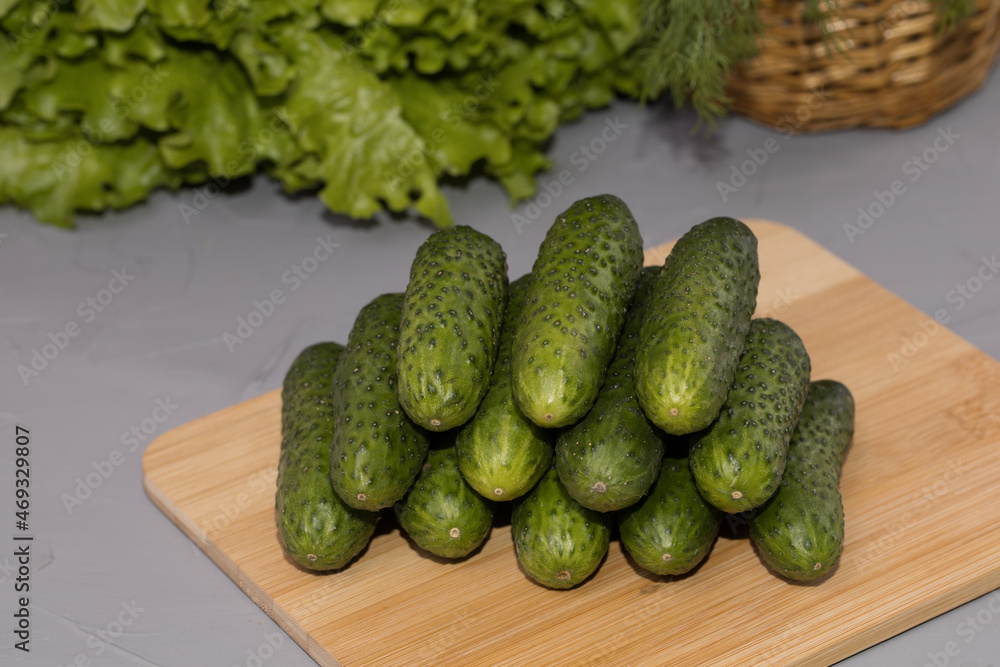 Fresh cucumbers with green salad, on wooden desk Fresh cucumbers with green salad, on wooden desk