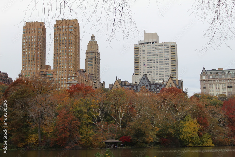Fototapeta premium central park in autumn