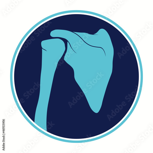 Shoulder Joint Anatomy. Skeleton bone structure. medical education. Vector