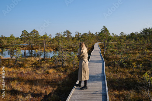 A woman walks along a scenic wooden decking nature trail in Lahemaa National Park in Estonia. The road leads through the Viru peat bog. Travel and exploration. Healthy lifestyle, active rest