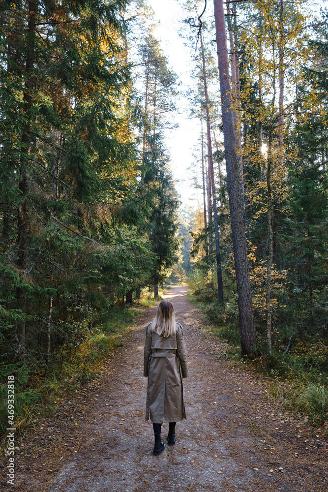 Fototapeta premium A woman traveler walks through the forest. Beautiful nature landscape in woods. Hiking journey on tourist trail. Outdoor adventure. Travel and exploration. Healthy lifestyle, leisure activities 