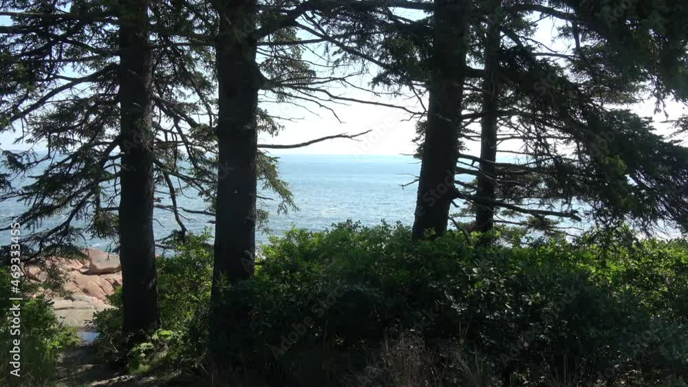 Acadia National Park, Maine, Sand Beach, view of the ocean through the trees along the coast Acadia National Park, Maine, Sand Beach, view of the ocean through the trees along the coast