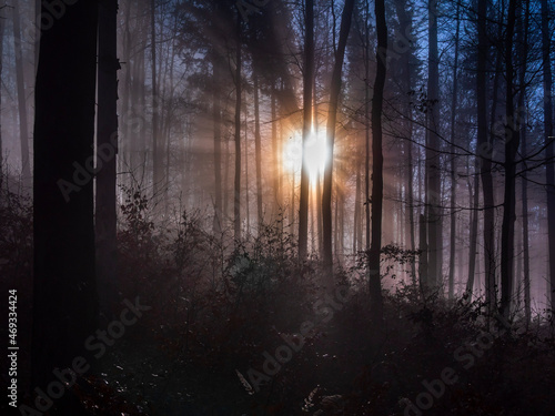 Fototapeta Naklejka Na Ścianę i Meble -  Beskidy - Beskid Żywiecki - poranek na szlaku