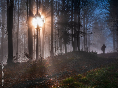 Fototapeta Naklejka Na Ścianę i Meble -  Turystyka - poranek na szlaku - Beskidy