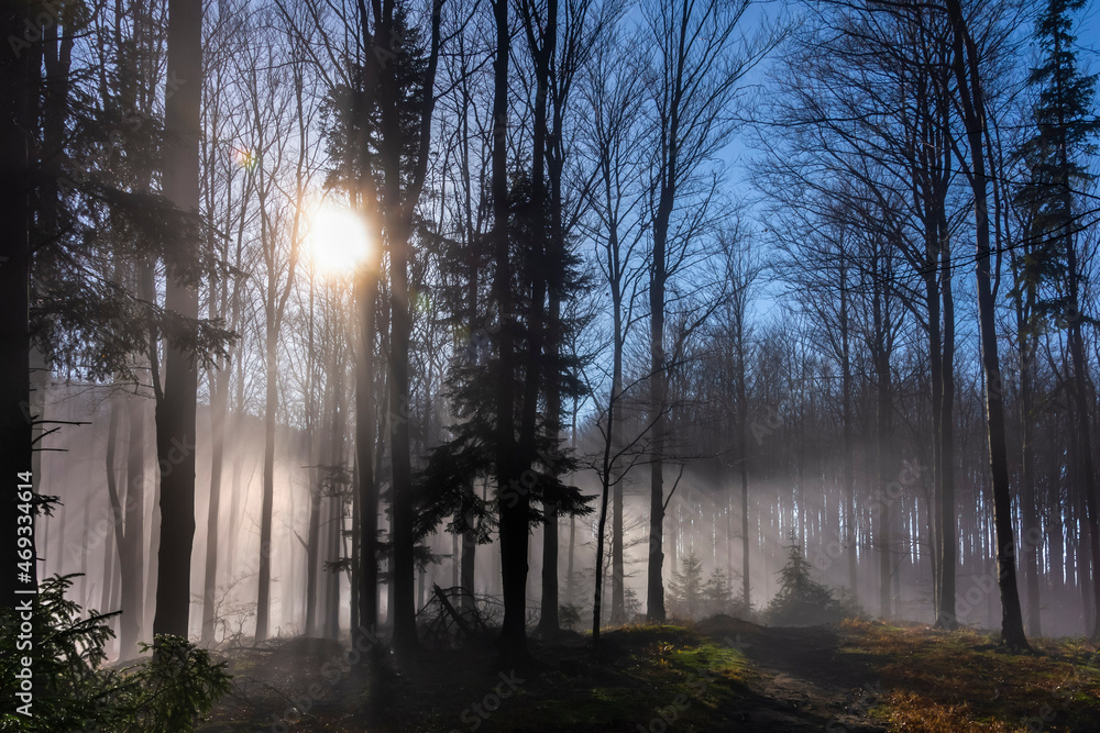 Fototapeta premium Poranek w Beskidzie Żywieckim - Okolice Jałowca