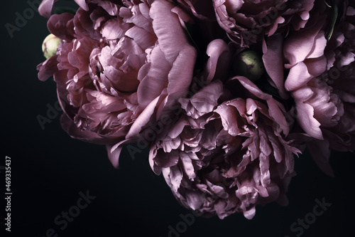 Fototapeta Naklejka Na Ścianę i Meble -  Beautiful Violet peonies bouquet on black. Floral background. Natural flowers pattern