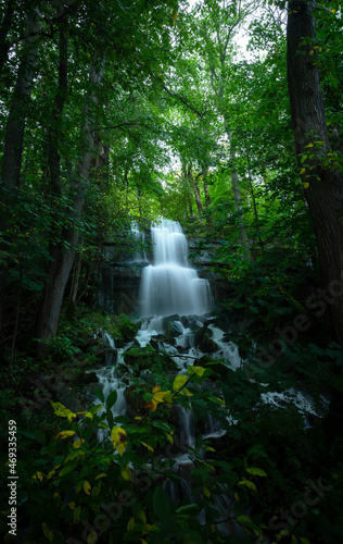 Small waterfall in the forest