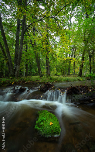 Small stream with some beautiful autumn colors