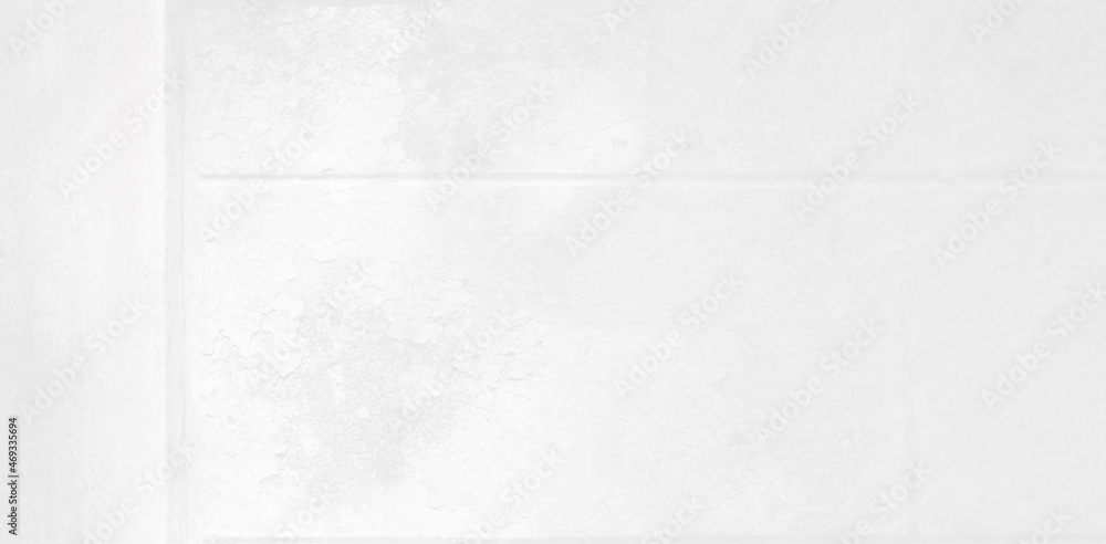 Abstract Shadow. blur background. gray leaves that reflect concrete walls on a white wall surface for blurred backgrounds and monochrome wallpapers. Abstract Shadow. blur background. gray leaves that reflect concrete walls on a white wall surface for blurred backgrounds and monochrome wallpapers.