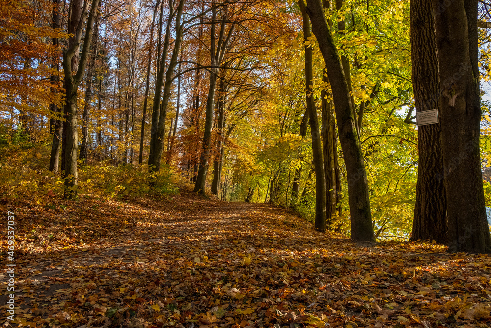 Herbst am Stausee bei Sohland an der Spree