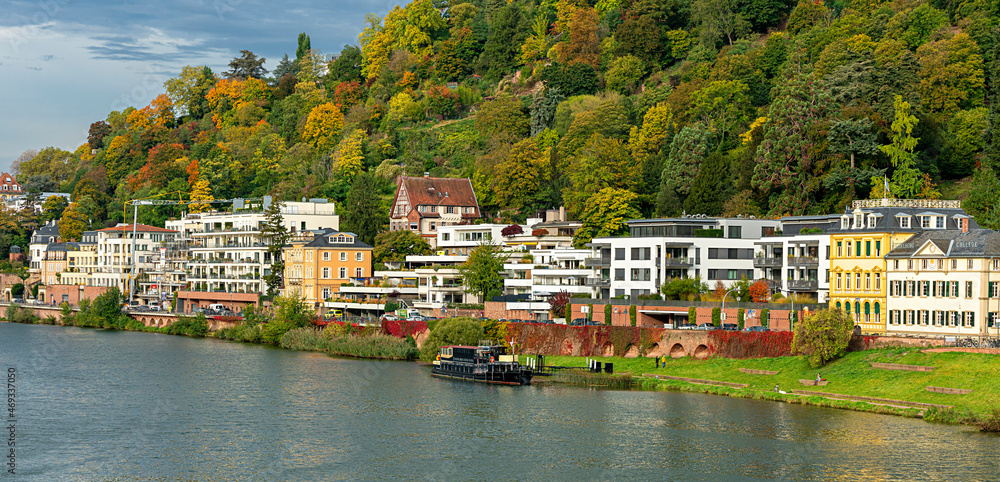 Obraz premium Villen und historische Häuser am Neckar in Heidelberg