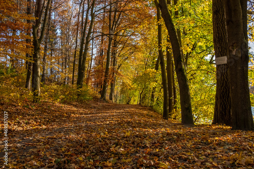 Herbst am Stausee bei Sohland an der Spree © Holger W. Spieker