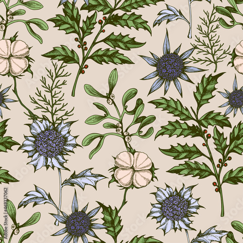 Seamless pattern with evergreen plants holly and cotton flowers