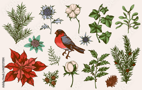 Vintage design elements for Christmas
