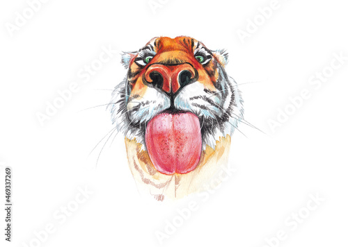 Tiger's muzzle with colored pencils and watercolors.Isolated on  white background is symbol of 2022. Printing calendars and postcards. © Natalia