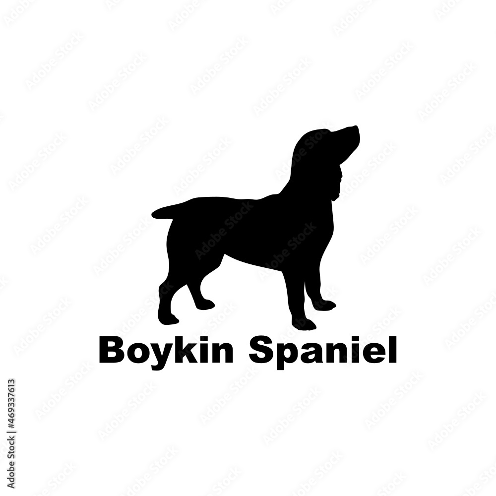 Boykin Spaniel