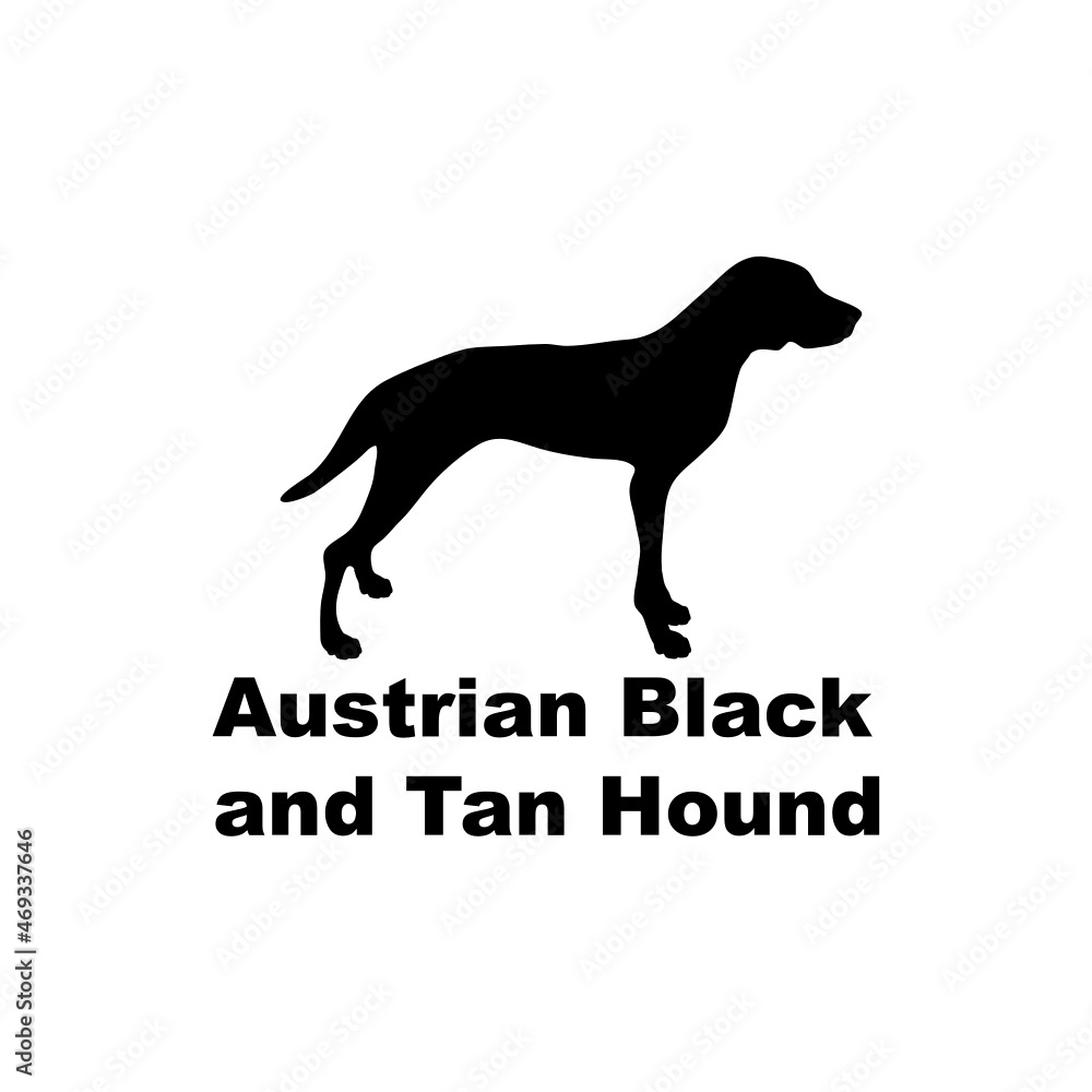 Austrian Black and Tan Hound