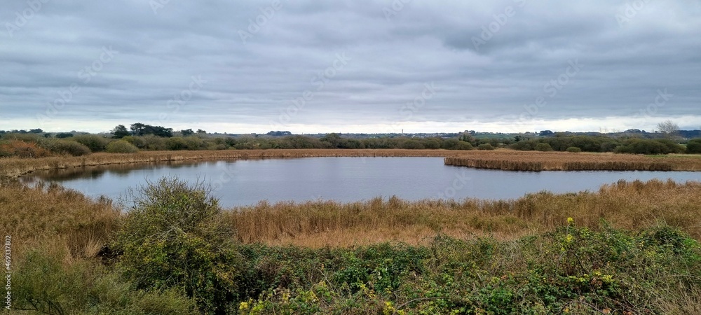 landscape with lake