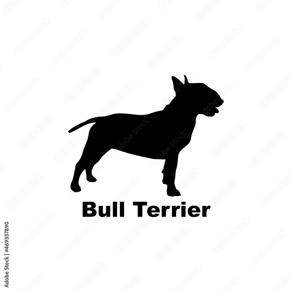 Bull Terrier.svg 