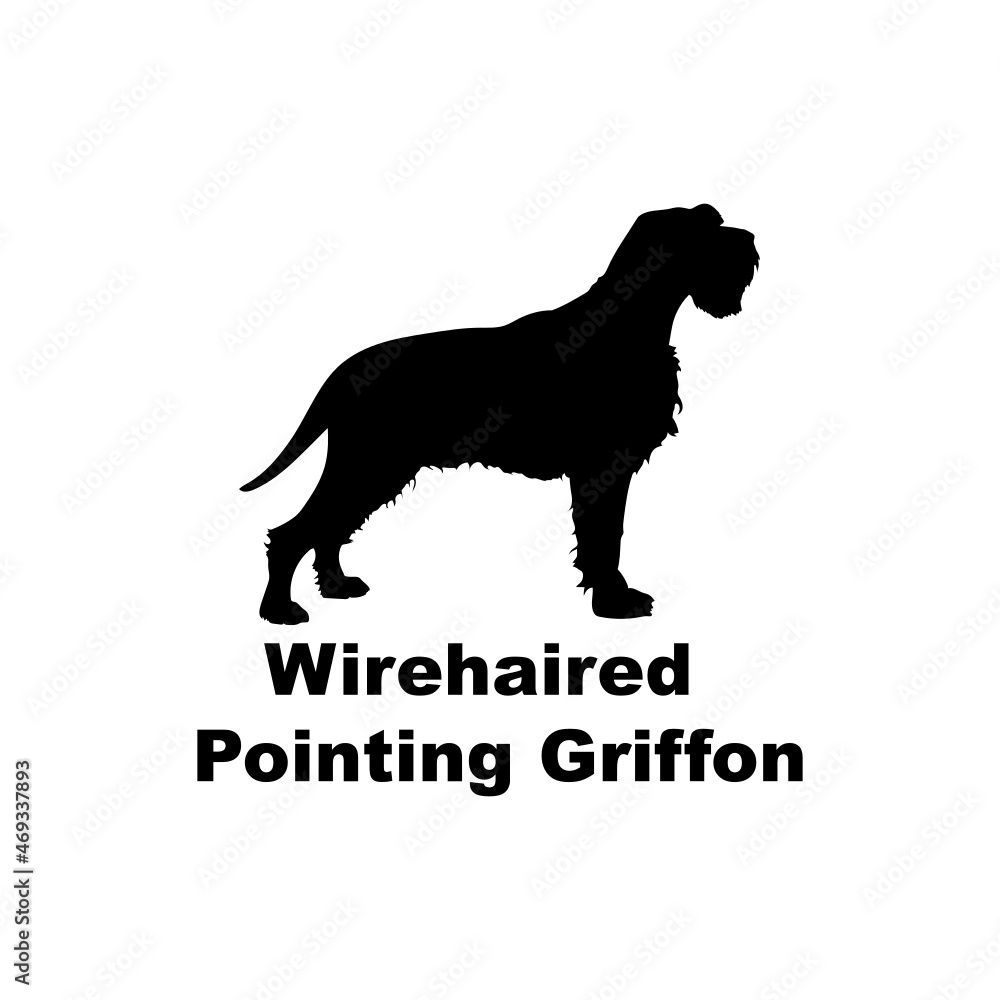 Wirehaired pointing griffon.svg Wirehaired pointing griffon.svg