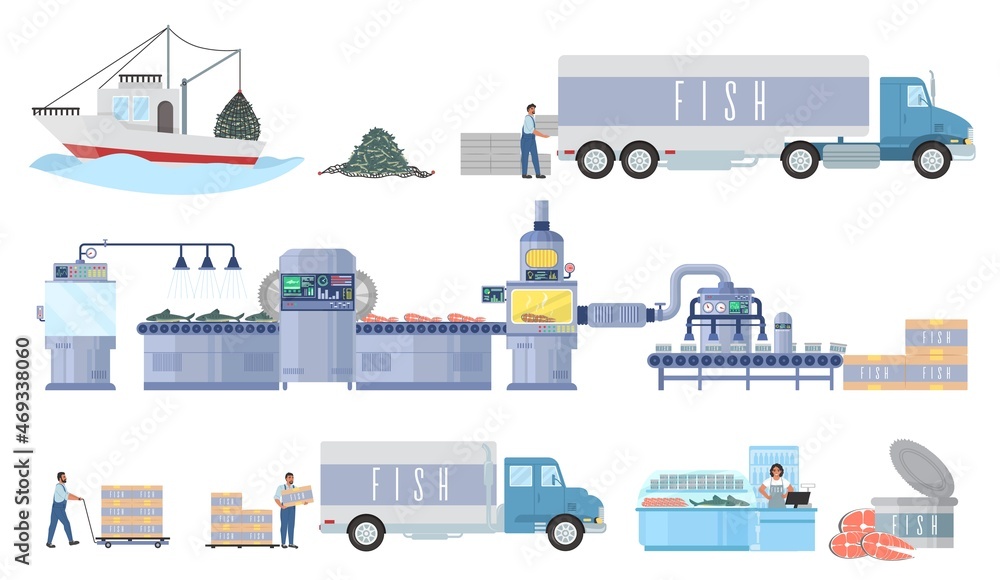 Seafood production process vector infographic. Commercial fishing industry. Fish factory processing line. Distribution.