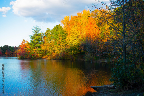 An explosion of Autumn foliage colors surrounds the perimeter of Dallenbach s Lake in East Brunswick  New Jersey  USA -08