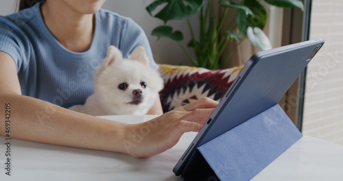 Woman work on tablet computer with her dog