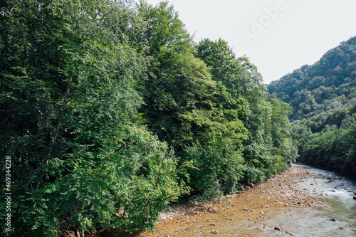 beautiful mountain river and green forest landscape travel