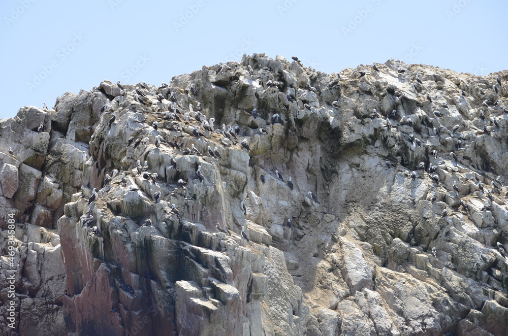 Naklejka premium islands in the pacific ocean