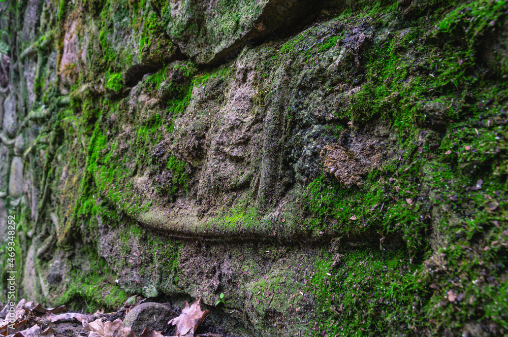 An old stone wall with green moss and mold. Yellow mold on an old stone wall An old stone wall with green moss and mold. Yellow mold on an old stone wall