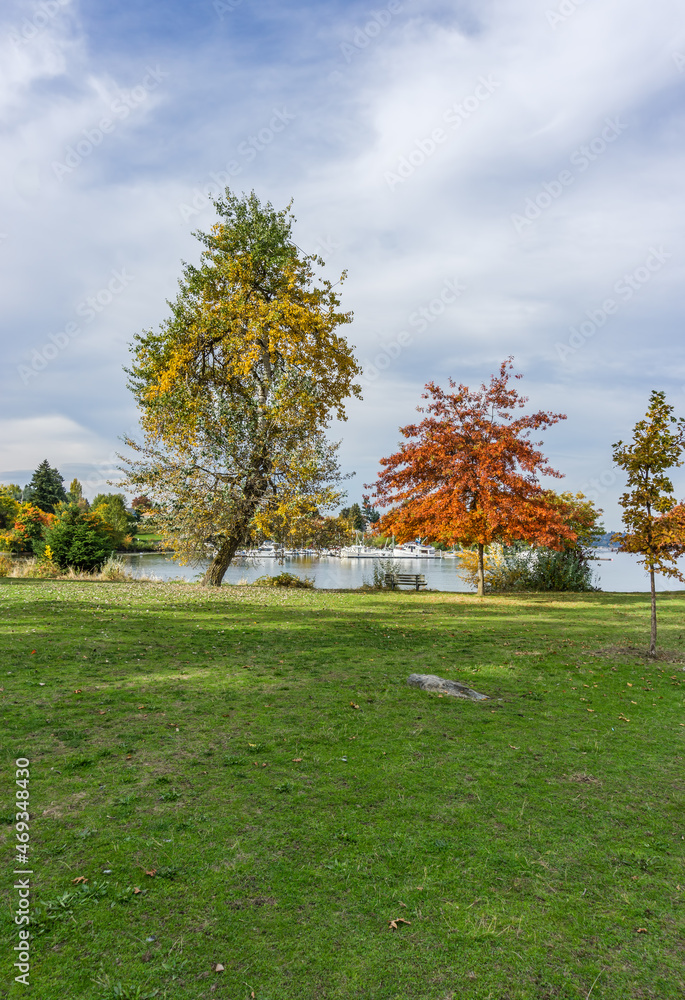 Naklejka premium Autumn Lake Shoreline Colors 6