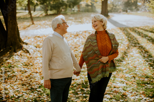 Senior couple walking in au...