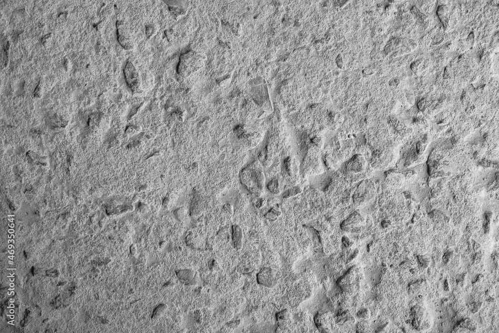 Fototapeta premium Gray concrete surface as a background texture