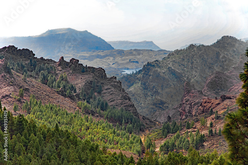 Blick vom Roque Nublo ins Tal
