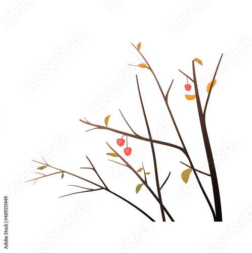 Winter or autumn bare branches, seasonal nature object isolated clipart for decoration. Bush or tree vector hand drawn shapes.