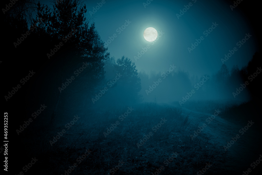 Full moon over the rural road through the forest at the night. Halloween background.