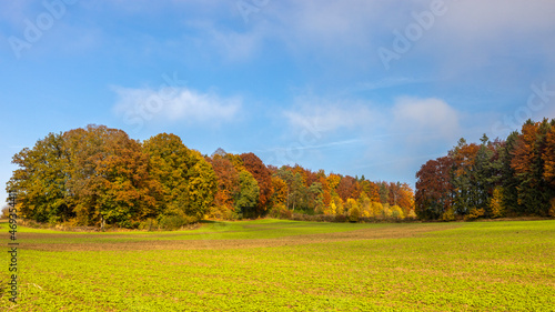 Landschaft im Herbst vor blauem Himmel