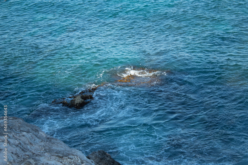 Obraz premium dolphin in the sea