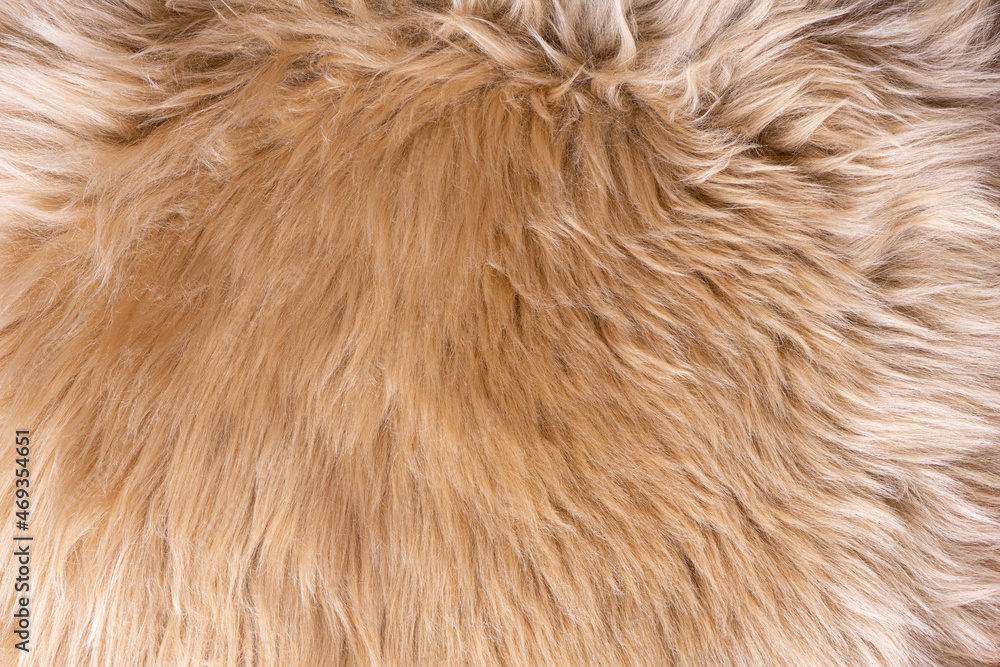 Fur texture top view. Brown fur background. Fur pattern. Texture of brown shaggy fur. Wool texture. Flaffy sheepskin close up Fur texture top view. Brown fur background. Fur pattern. Texture of brown shaggy fur. Wool texture. Flaffy sheepskin close up