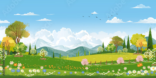 Seamless pattern Spring field with fluffy cloud on blue sky,Vector background banner Endless Cute cartoon panorama rural landscape green grass with honey bee flying on flowers in sunny day Summer