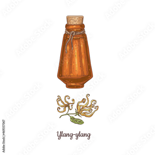 Ylang Ylang flower and Cananga essential oil watercolor vector illustration. Glass bottle with ylang perfume fragrance