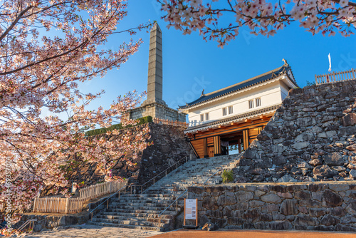 Kofu, Japan in spring season. photo