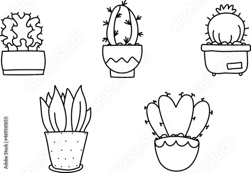 vector illustration set of linear cactuses, plants, succulents