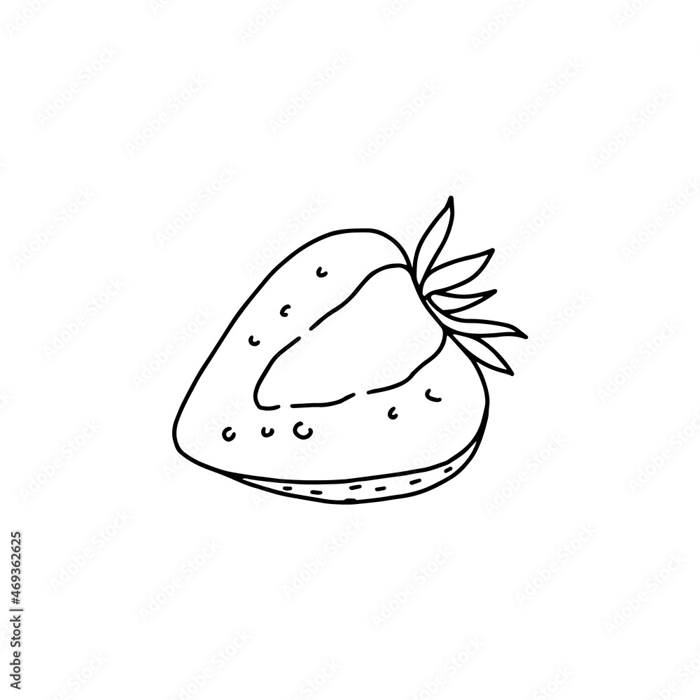 Half strawberry piece in hand drawn monochrome vector illustration isolated.