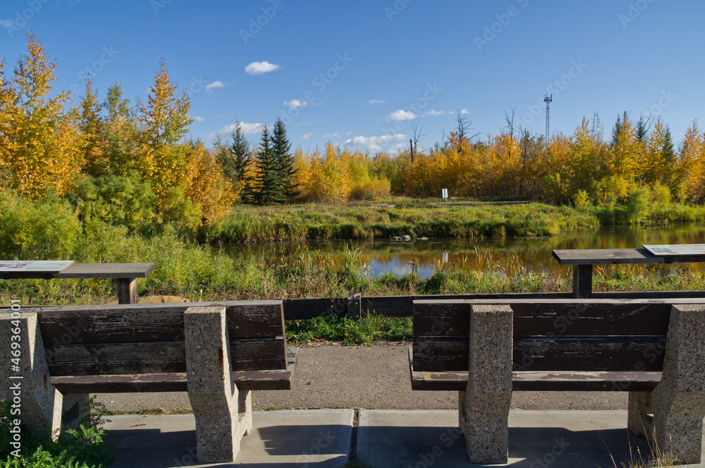 Park Benches at Pylypow Wetlands