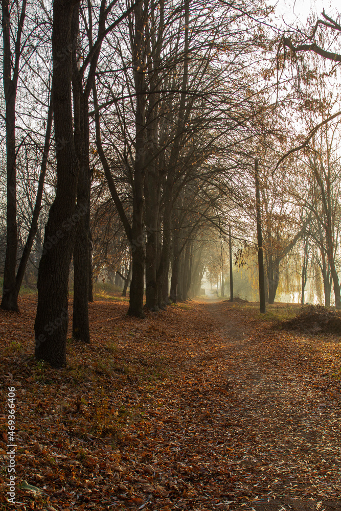 Autumn landscape in a city park, autumn in Moldova.